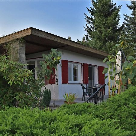 Cozy Holiday Home In G Ntersberge With Garden Güntersberge Zewnętrze zdjęcie